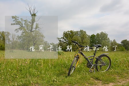信用卡逾期 被征信了 信用卡逾期 被征信了